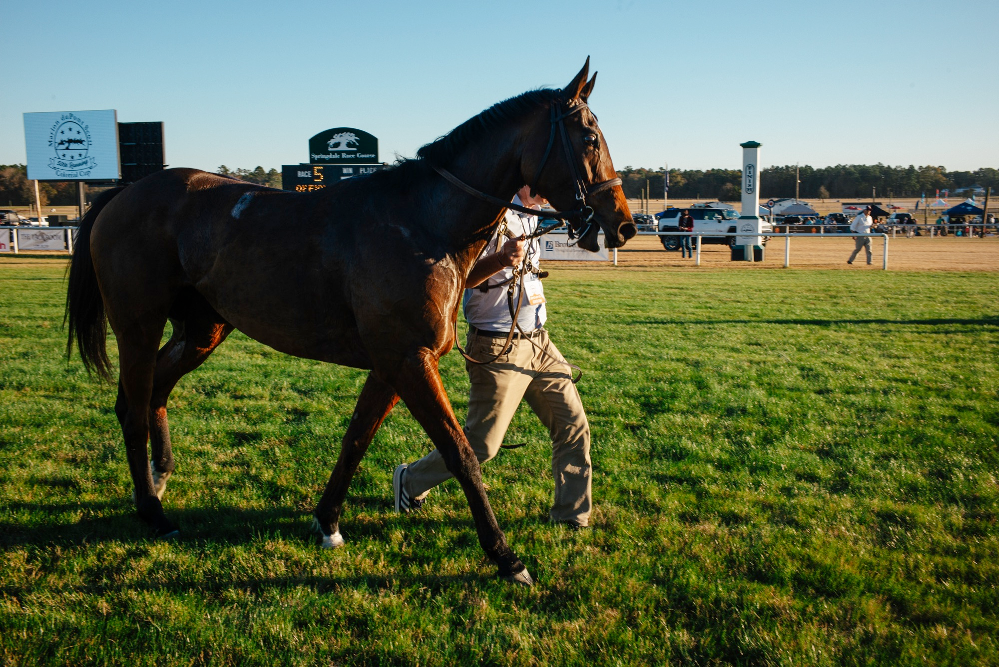 Colonial Cup Camden